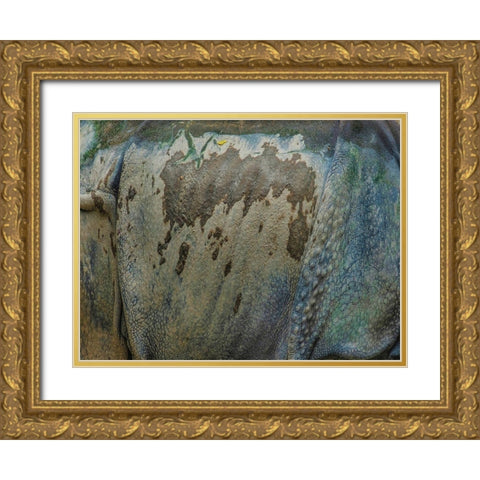Living skin-Indian Rhino Gold Ornate Wood Framed Art Print with Double Matting by Fitzharris, Tim