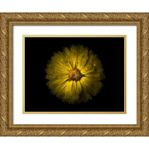 Backyard Flowers Yellow 10 Gold Ornate Wood Framed Art Print with Double Matting by Carson, Brian