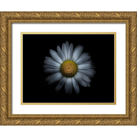 Backyard Flowers White 31 Gold Ornate Wood Framed Art Print with Double Matting by Carson, Brian
