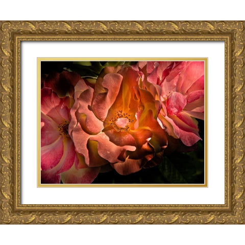 Backyard Flowers Coral 40 Gold Ornate Wood Framed Art Print with Double Matting by Carson, Brian