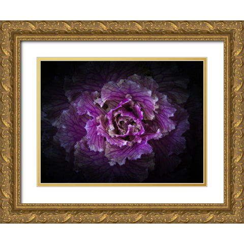 Backyard Flowers Purple 42 Gold Ornate Wood Framed Art Print with Double Matting by Carson, Brian