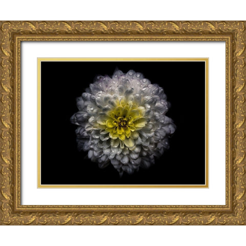 Backyard Flowers White 46 Gold Ornate Wood Framed Art Print with Double Matting by Carson, Brian