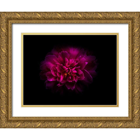 Backyard Flowers Purple 55 Gold Ornate Wood Framed Art Print with Double Matting by Carson, Brian