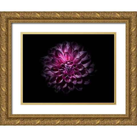 Backyard Flowers Purple 57 Gold Ornate Wood Framed Art Print with Double Matting by Carson, Brian