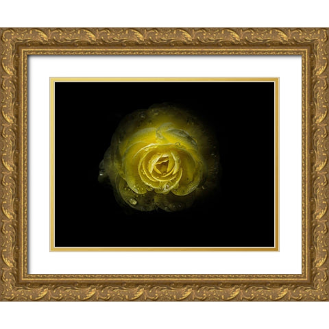 Backyard Flowers Yellow 64 Gold Ornate Wood Framed Art Print with Double Matting by Carson, Brian