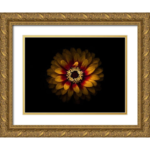 Backyard Flowers Gold 69 Gold Ornate Wood Framed Art Print with Double Matting by Carson, Brian