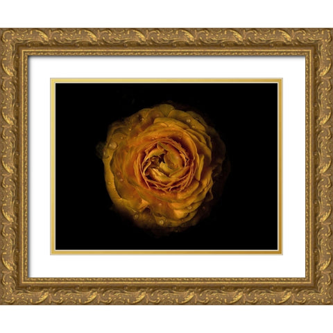 Backyard Flowers Gold 73 Gold Ornate Wood Framed Art Print with Double Matting by Carson, Brian