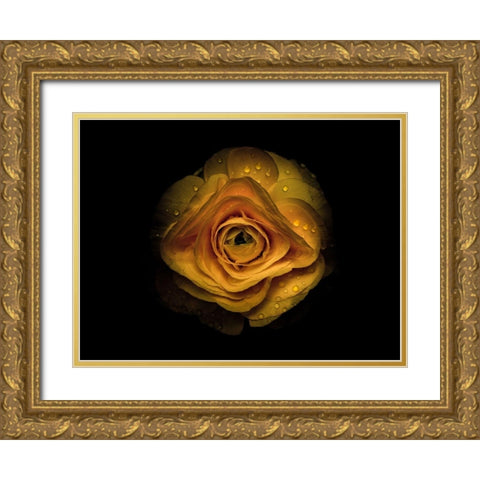 Backyard Flowers Gold 74 Gold Ornate Wood Framed Art Print with Double Matting by Carson, Brian