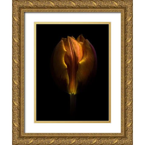Backyard Flowers Gold 75 Gold Ornate Wood Framed Art Print with Double Matting by Carson, Brian