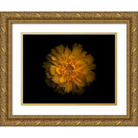 Backyard Flowers Gold 79 Gold Ornate Wood Framed Art Print with Double Matting by Carson, Brian
