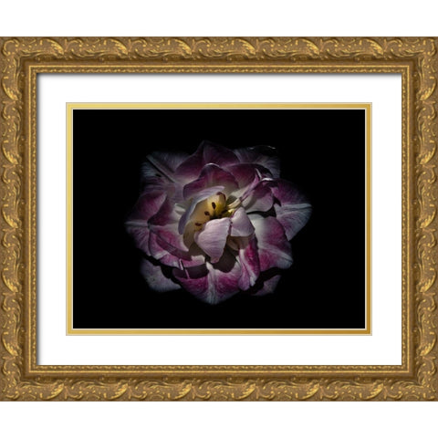 Backyard Flowers Purple 81 Gold Ornate Wood Framed Art Print with Double Matting by Carson, Brian
