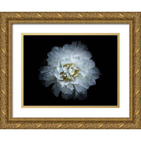 Backyard Flowers White 90 Gold Ornate Wood Framed Art Print with Double Matting by Carson, Brian