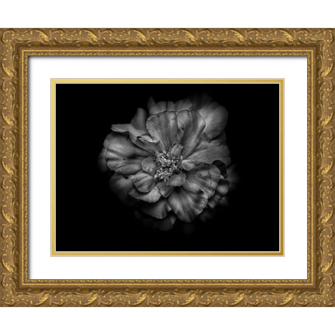 Backyard Flowers Black and White 41 Gold Ornate Wood Framed Art Print with Double Matting by Carson, Brian