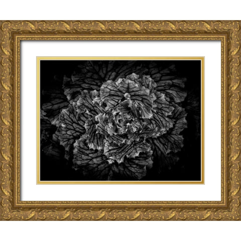 Backyard Flowers Black and White 42 Gold Ornate Wood Framed Art Print with Double Matting by Carson, Brian