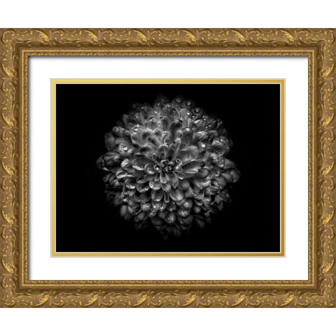 Backyard Flowers Black and White 46 Gold Ornate Wood Framed Art Print with Double Matting by Carson, Brian