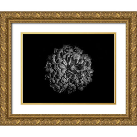 Backyard Flowers Black and White 48 Gold Ornate Wood Framed Art Print with Double Matting by Carson, Brian