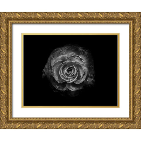Backyard Flowers Black and White 64 Gold Ornate Wood Framed Art Print with Double Matting by Carson, Brian