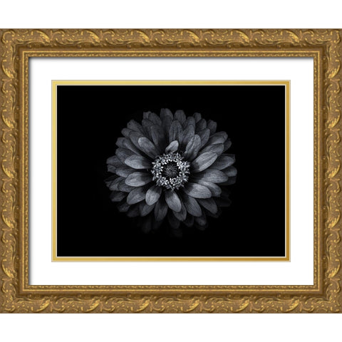 Backyard Flowers Black and White 69 Gold Ornate Wood Framed Art Print with Double Matting by Carson, Brian