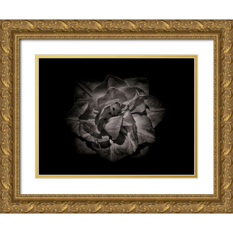 Backyard Flowers Black and White 81 Gold Ornate Wood Framed Art Print with Double Matting by Carson, Brian