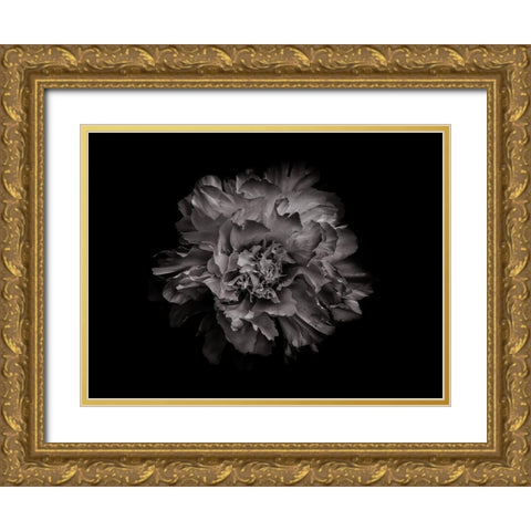 Backyard Flowers Black and White 90 Gold Ornate Wood Framed Art Print with Double Matting by Carson, Brian