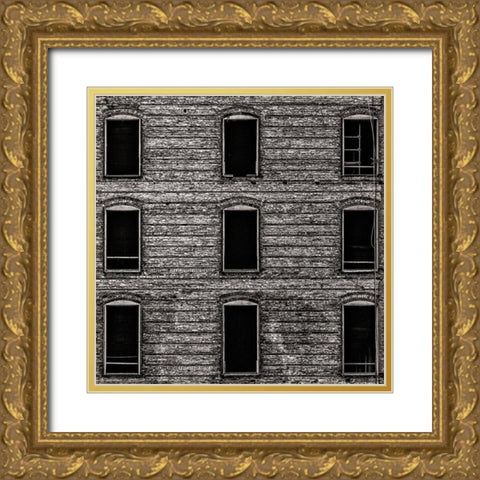 Geometry No 14 Gold Ornate Wood Framed Art Print with Double Matting by Carson, Brian