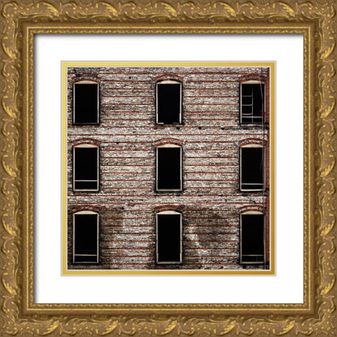 Geometry No 14 Color Gold Ornate Wood Framed Art Print with Double Matting by Carson, Brian