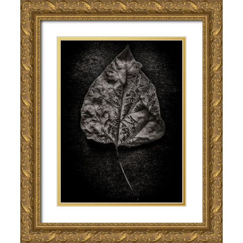 Leaves No 1 Black and White Gold Ornate Wood Framed Art Print with Double Matting by Carson, Brian