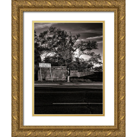 Phone Booth No 11 Gold Ornate Wood Framed Art Print with Double Matting by Carson, Brian