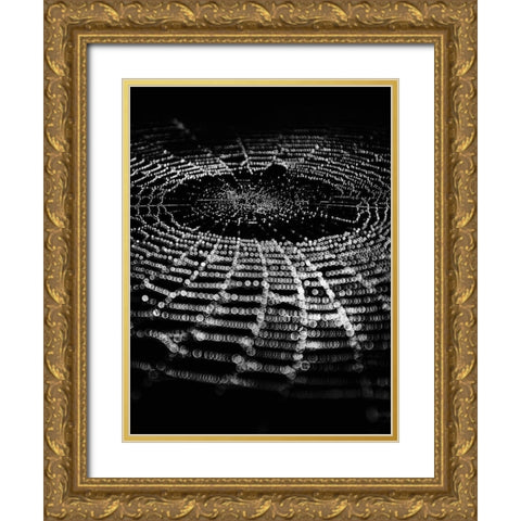 Spiderweb No 1 Gold Ornate Wood Framed Art Print with Double Matting by Carson, Brian