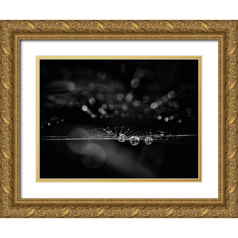 Spiderweb No 2 Gold Ornate Wood Framed Art Print with Double Matting by Carson, Brian