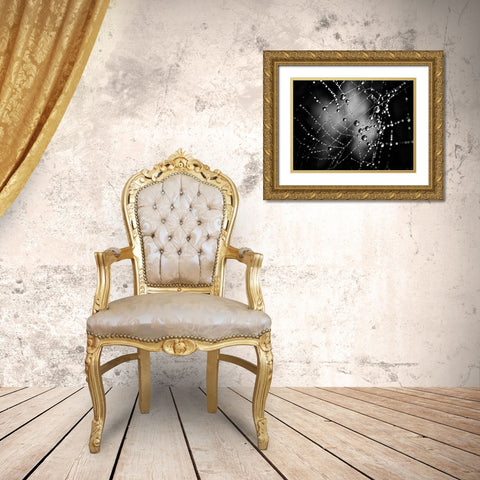 Spiderweb No 3 Gold Ornate Wood Framed Art Print with Double Matting by Carson, Brian