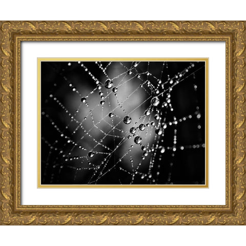 Spiderweb No 3 Gold Ornate Wood Framed Art Print with Double Matting by Carson, Brian