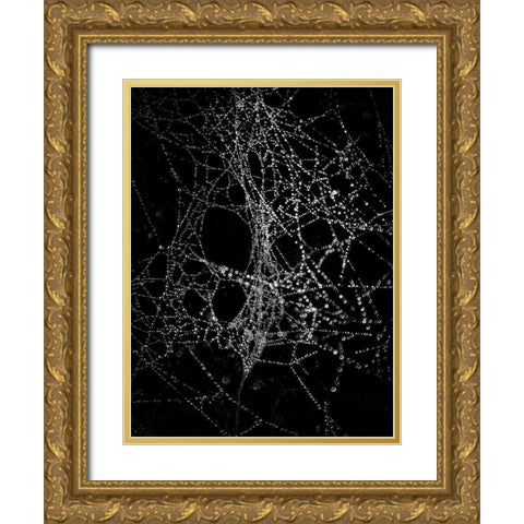 Spiderweb No 4 Gold Ornate Wood Framed Art Print with Double Matting by Carson, Brian