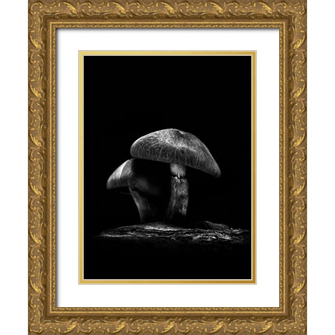 Toadstools on a Toronto Trail No 6 Gold Ornate Wood Framed Art Print with Double Matting by Carson, Brian