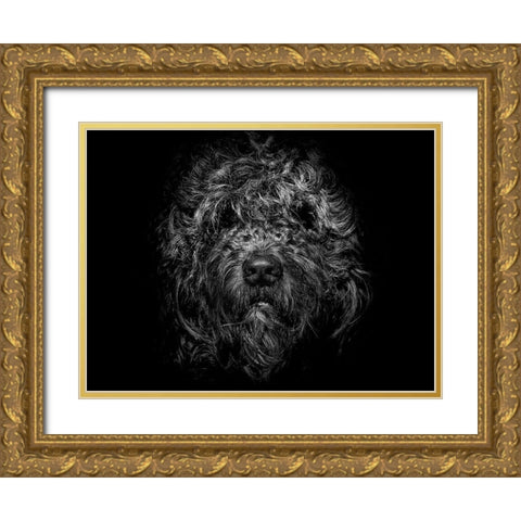 Ziggy Portrait Gold Ornate Wood Framed Art Print with Double Matting by Carson, Brian