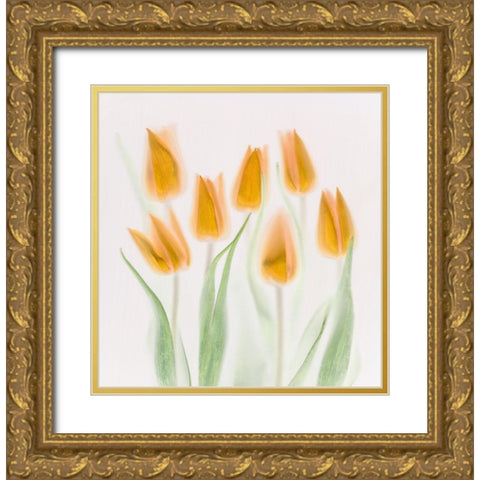 Golden Tulips Gold Ornate Wood Framed Art Print with Double Matting by Haslam, Brian