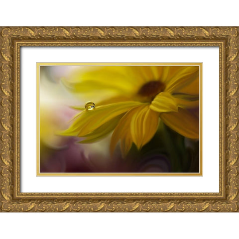 SunBeam Gold Ornate Wood Framed Art Print with Double Matting by Nan, Juliana