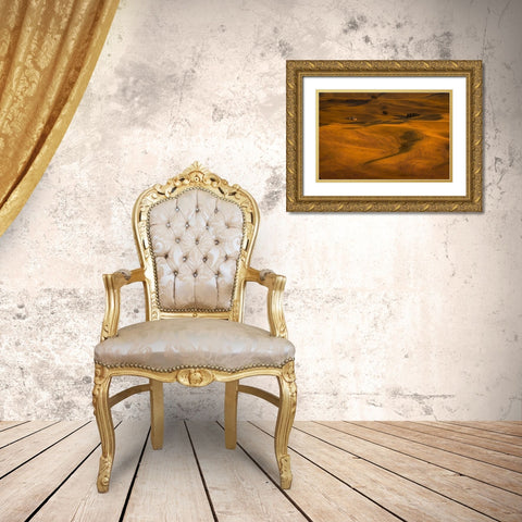 Wheat Field in Sunset Gold Ornate Wood Framed Art Print with Double Matting by Wang, David