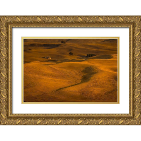 Wheat Field in Sunset Gold Ornate Wood Framed Art Print with Double Matting by Wang, David