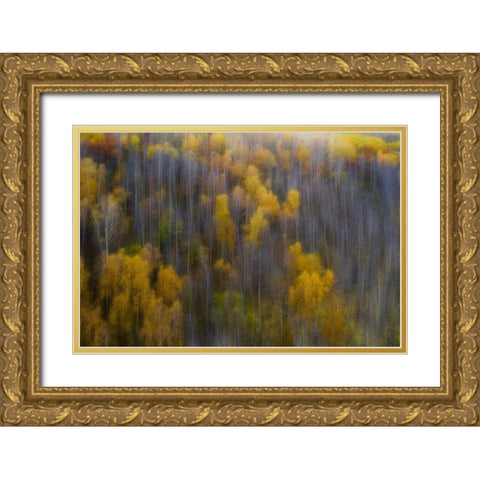 The color of autumn Gold Ornate Wood Framed Art Print with Double Matting by Z, Bingo