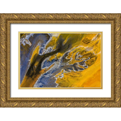 Poisoned flowers Gold Ornate Wood Framed Art Print with Double Matting by Pop, Ovi