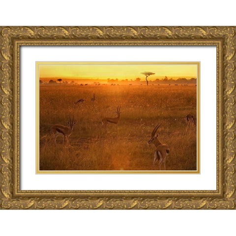 Morning Gold Ornate Wood Framed Art Print with Double Matting by Chang, Phillip