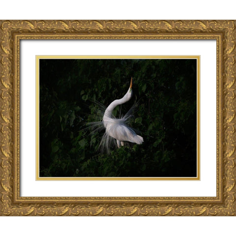 The Call Gold Ornate Wood Framed Art Print with Double Matting by Chang, Phillip