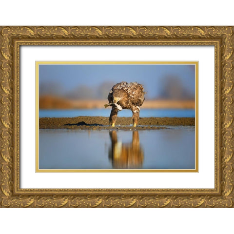 Dinner time Gold Ornate Wood Framed Art Print with Double Matting by Chang, Phillip