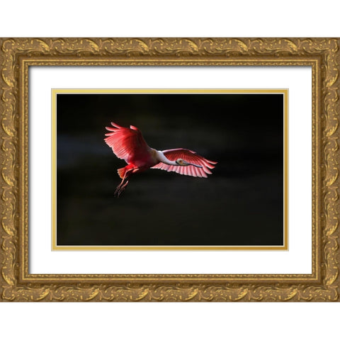 Fying home Gold Ornate Wood Framed Art Print with Double Matting by Chang, Phillip