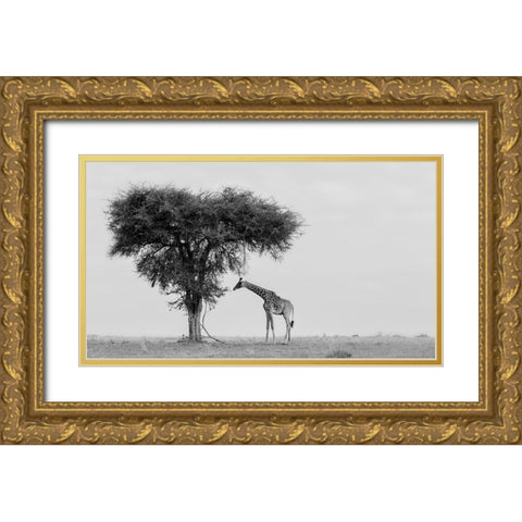 The wild Gold Ornate Wood Framed Art Print with Double Matting by Chang, Phillip