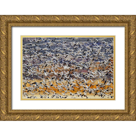 Togther Gold Ornate Wood Framed Art Print with Double Matting by Chang, Phillip