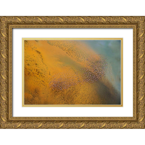 The footprint Gold Ornate Wood Framed Art Print with Double Matting by Chang, Phillip