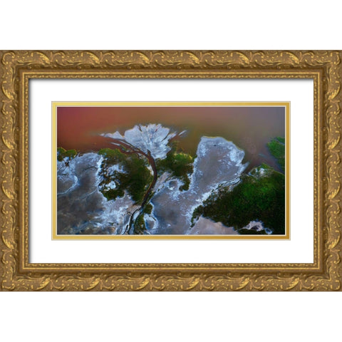 The big flower Gold Ornate Wood Framed Art Print with Double Matting by Chang, Phillip