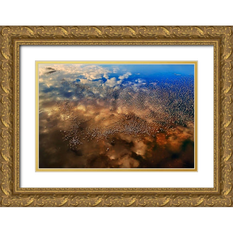 Flamingos over the clouds Gold Ornate Wood Framed Art Print with Double Matting by Chang, Phillip